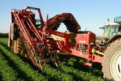 Fiyatları ‘korku’ düşürüyor