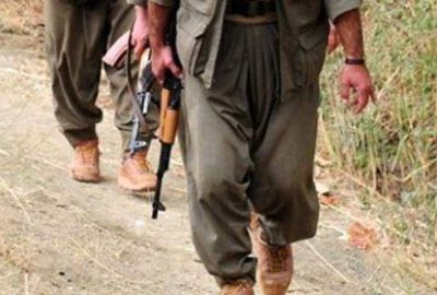 3 polisi şehit eden terörist yakalandı