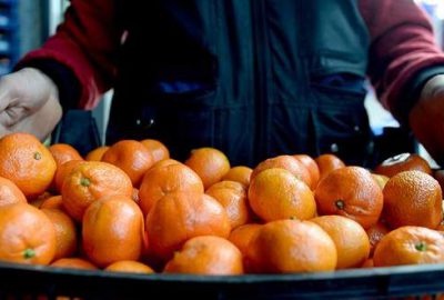 ‘Sebze meyve ihracatında Rusya’ya mahkum değiliz’