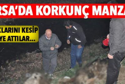 Bursa’da korkunç manzara