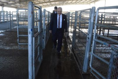 Büyükşehir Belediyesi’nden Tarsus Mezbahasına Soruşturma