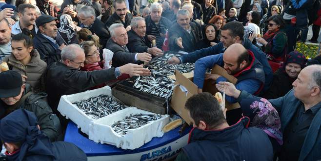 Bursa’da 1 ton hamsi dağıtıldı