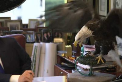 ‘Sam Amca’ Trump’ı affetmedi