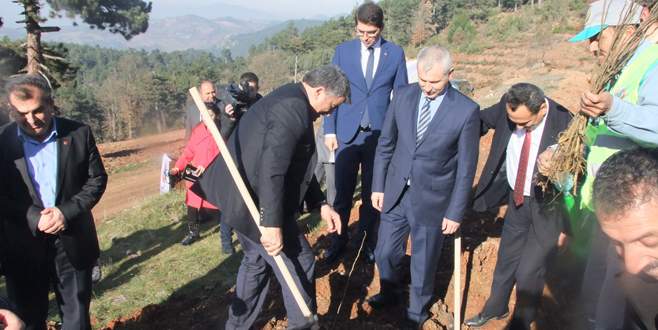 İpekböcekçiliği canlandırılacak