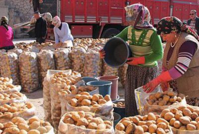 Tonlarca patates depoda kaldı