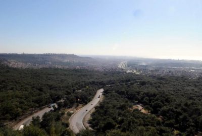 Kepezpark Orman Projesi Kamuoyu İle Paylaşılacak