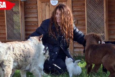 Köpekleri yüzünden darp edilen kadın açlık grevine başladı