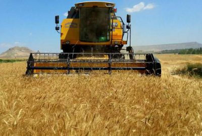 Buğdayda Rusya’ya bağımlı değiliz