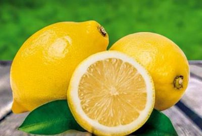 Limon altın çağını yaşıyor