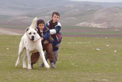 Bozkırlardan Los Angeles’a