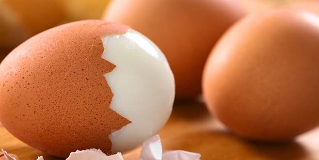 Yumurta ve tavuk eti üretimi arttı