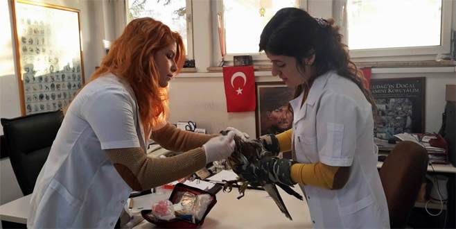 Bursa’da şahin operasyonu