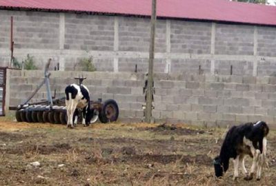Kritik uyarı geldi! Osmaniye karantinaya alındı