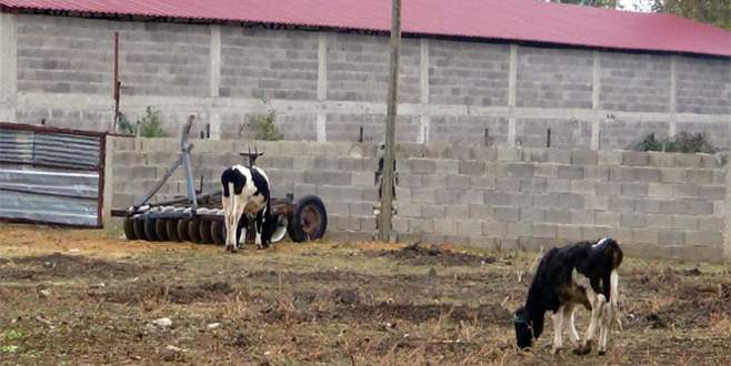 Kritik uyarı geldi! Osmaniye karantinaya alındı