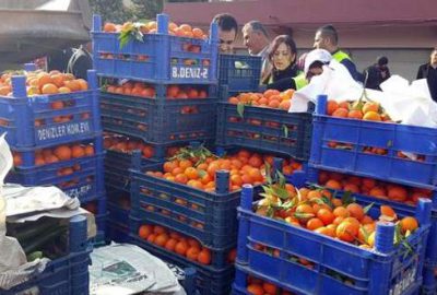 20 ton sebze ve meyve halka dağıtıldı