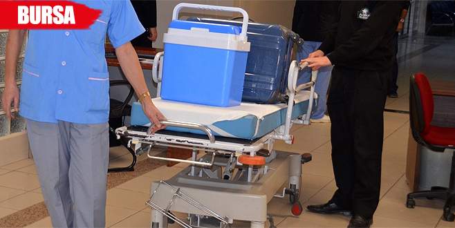 Böbrek bekliyordu, karaciğerini bağışladı