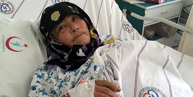 Zeytin toplayan kadını kuş sanıp vurdular