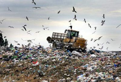 Çöplükte 26 cenin bulundu