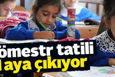 Sömestr tatili 1 aya çıkıyor