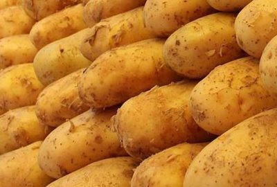 Patates fiyatında büyük düşüş
