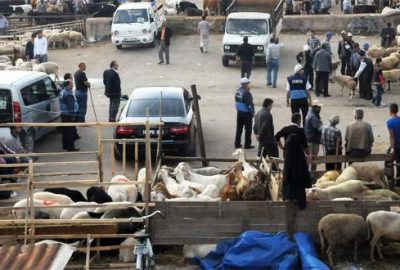 Hayvan pazarı ikinci bir emre kadar kapatıldı