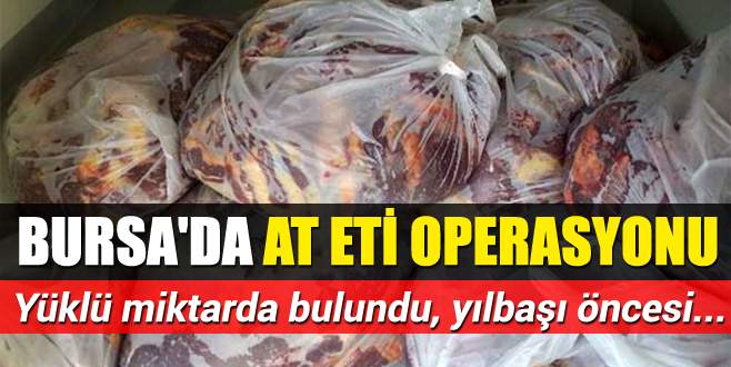 Bursa’da at eti operasyonu