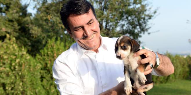 375 hayvan sahiplendirildi