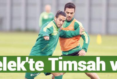 Belek’te Timsah var