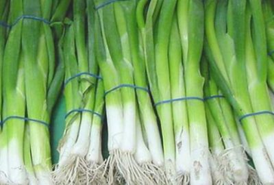 İstanbul’un zam şampiyonu yeşil soğan