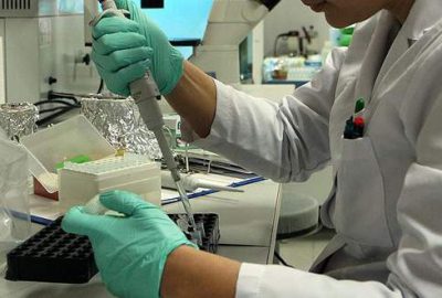 Domuz gribi şüphesiyle 3 ölüm!