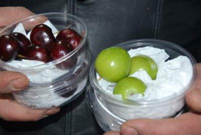 5 çeyrek altına 1 kilo erik