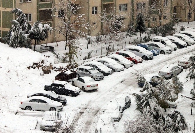 Mardin Valiliği “Don Ve Buzlanma” Uyarısı