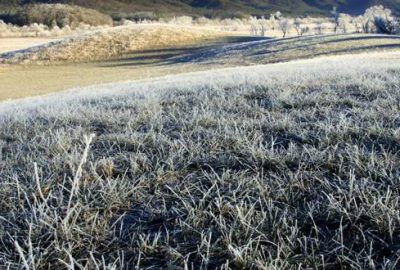 Çiftçinin yüzünü kar güldürdü