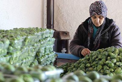 Brüksel lahanasına Rusya darbesi