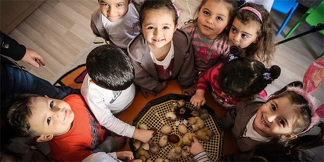 Bursalı miniklerin civciv heyecanı