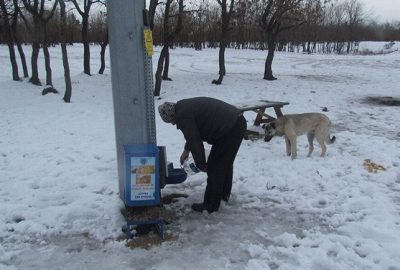Kar Yağışı Sonrası Sokak Hayvanları Unutulmadı