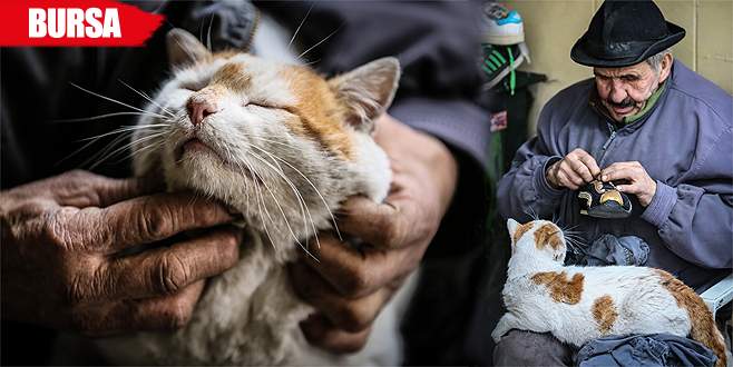Hikayesi duyuldu, yardım yağmaya başladı