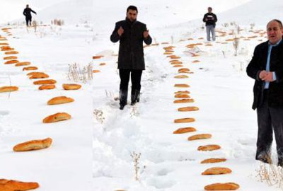 481 yıllık gelenek