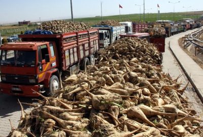Başkan Kesber Kuş’tan Kota Esneme Hakkı Müjdesi
