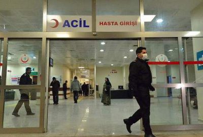 4 ilde domuz gribi şüphesi