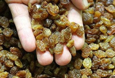 Kuru meyve kilogram başına 3,3 dolar kazandırdı