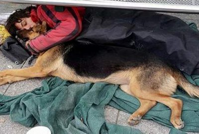 Evsiz bir genç ile sokak köpeğinin soğuk havadan korunmak için