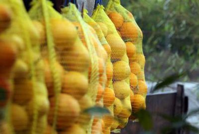 Beklenen olmadı, fiyatlar şaşırttı! İşte nedeni!