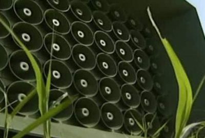 Güney Kore yeniden sınırda propaganda yayınına başladı