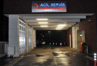 Domuz gribi bir can daha aldı