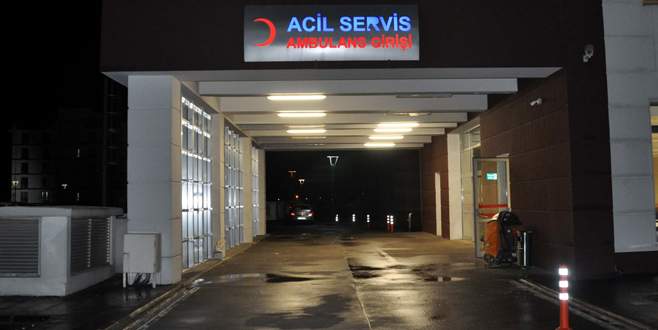 Domuz gribi bir can daha aldı