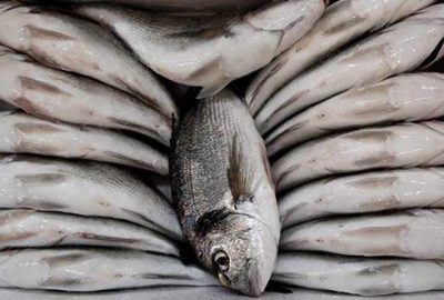 Balık ihracatında antidamping endişesi