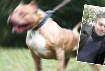 Piıtbull tarafından yüzü parçalanan şahıs evinde ölü bulundu