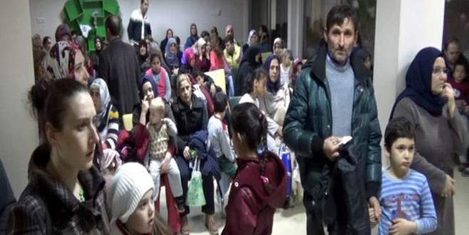 Domuz gribi korkusu, acil servisleri doldurdu