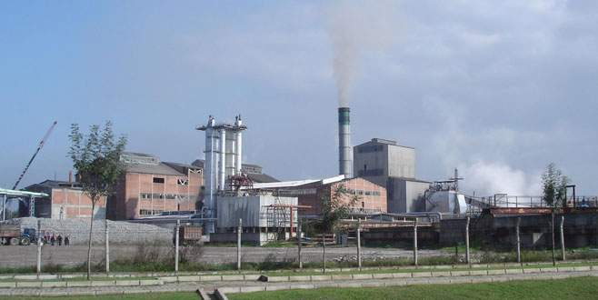 Ekonomiye ‘tatlı’ katkı